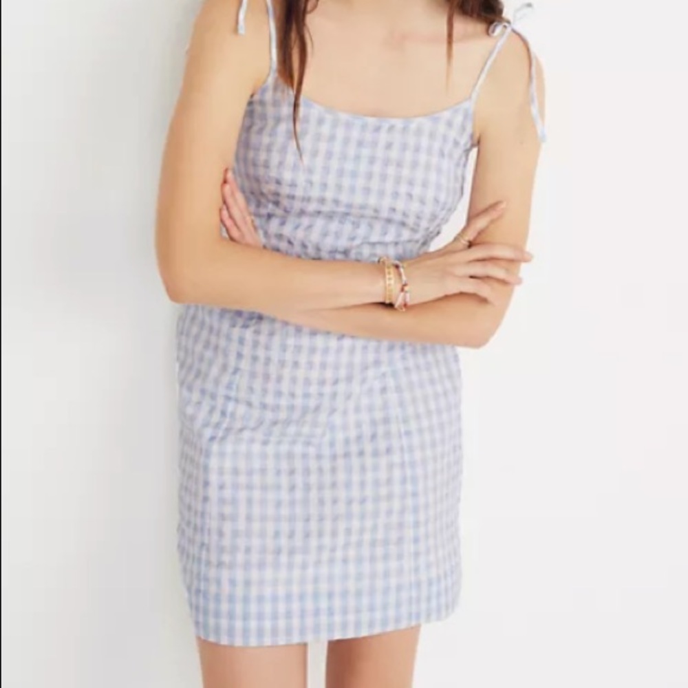 Madewell Blue and White Gingham Dress